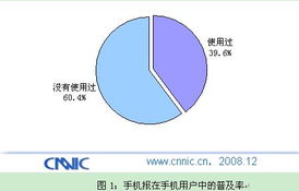 中國互聯網絡信息中心（CNNIC）在計算機軟硬件技術研發(fā)中的戰(zhàn)略角色與創(chuàng)新實踐